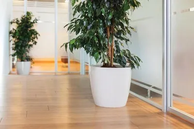 Produktbild von Duurzame Ruby Blumentopf 66L in Weiß mit Bewässerungssystem und Drainage für Pflanzenpflege