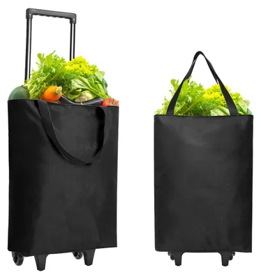 Immagine prodotto di Carrello per la spesa pieghevole, capacità 30 litri, 2-in-1 con 2 ruote, ideale per il campeggio