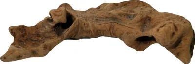 Obrázek produktu pro Lucky Reptile Opuwa dřevo 20-40 cm