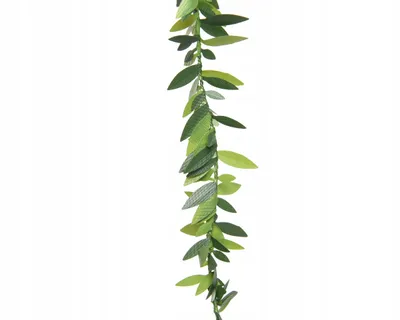 Produktbild von Buchsgirlande künstlich 1,5cm x 5m Grün