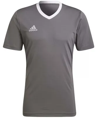 Produktbild von adidas Entrada 22 Trikot XS TEGRFO