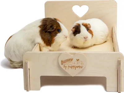 Produktbild von Bunny Schlummerkiste - Liegeplatz für Zwergkaninchen und Meerschweinchen