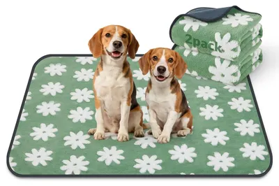 Immagine prodotto di Solidchoice - Tappetini lavabili per cuccioli, set da 2, 100 x 70 cm