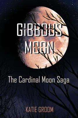 Produktbild von Gibbous Moon