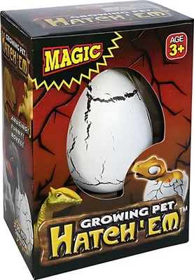 Produktbild von Iden System Großhandels GmbH Wachs.Mini-Dino/Ei Sonstige Sonstige