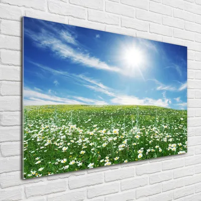Produktbild von Tulup® Glas-Bild - 100 x 70 - Wandbild aus Glas - Wandkunst - Wandbild hinter gehärtetem Sicherheitsglas - Landschaften - Wiese - Grün