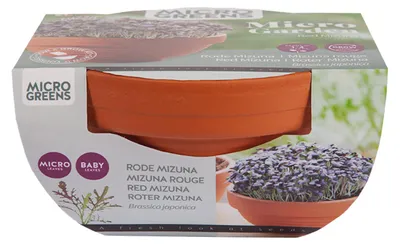Produktbild von Keimsprossen Anzuchtset Blattsenf Mizuna Rot | Keimsprossen von Buzzy Seeds
