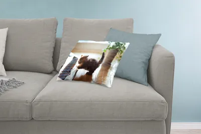 Produktbild von MuchoWow® Zierkissen Sofakissen Wohnzimmer Dekokissen 60x40 cm Katze - Tier - Kätzchen - Kopfkissen - Polster mit Foto