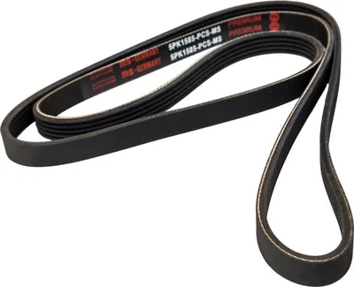 Obrázok produktu pre MS 5PK1585-PCS-MS klinový remeň, plochý remeň pre LANCIA Y (840_)