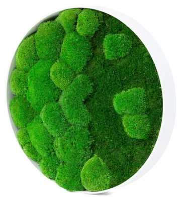 Produktbild von Rundes Moosbild River Design (⌀30 cm, weiß)