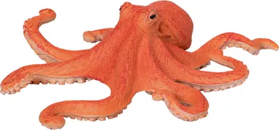 Immagine prodotto di Polpo Mojo Sea Life 381036