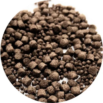 Produktbild von WTS Koifutter - Wheatgerm für Frühjahr & Herbst - 5 Liter 3 - 6 mm
