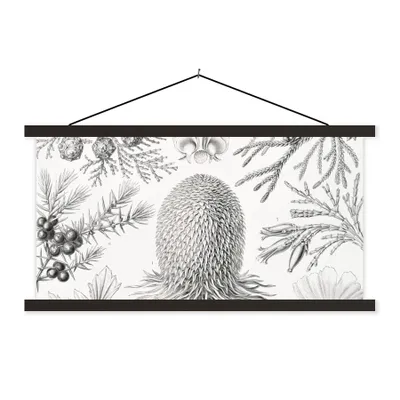 Produktbild von MuchoWow® Textilposter Koniferen - Ernst Haeckel - Kunst - Retro - Illustration - Natur 150x75 cm mit schwarzem Rahmen - Posterleiste