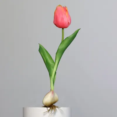 Produktbild von künstliche Tulpe mit Zwiebel pink grün H. 25cm DPI Kunstblumen