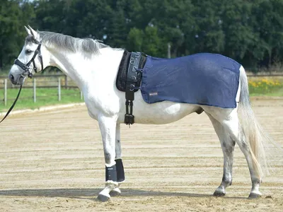 Produktbild von BUSSE Longierdecke Fly Fliegendecke Navy 135