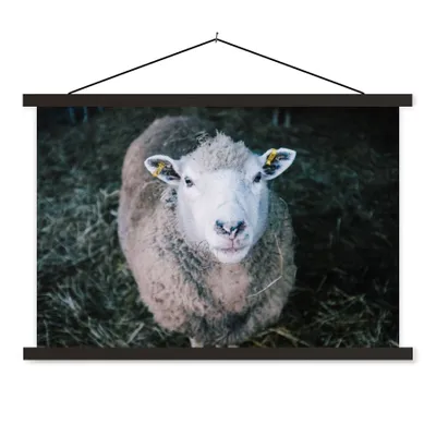 Produktbild von MuchoWow® Textilposter Schafe - Tiere - Rinder 60x40 cm mit schwarzem Rahmen - Hölzernes