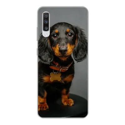 Produktbild von MuchoWow® Handyhülle Schutzhülle Hülle für Samsung Galaxy A70 Studiofoto eines Dackelwelpen Silikon Softcase Handy Hülle - Schutzhaube