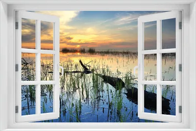 Produktbild von Wallario Poster mit Fenster-Illusion: Schilf am Abend - Sonnenuntergang über der Seelandschaft, Größe: 61 x 91,5 cm (Maxiposter)
