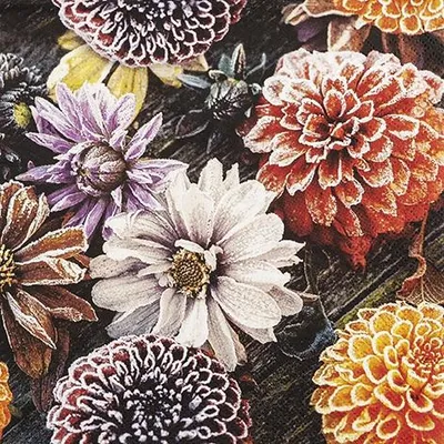 Produktbild von Servietten 33x33 cm - Frosted Dahlia