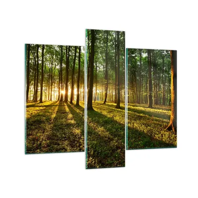 Produktbild von Bilder auf glas - Wald grün Sonnenstrahlen Natur - 95x80cm - Glasbilder - Wandbilder - Kunstdruck - zum Aufhängen bereit - Wanddekoration aus Glas - Glas Bilder - Wandbild auf Glas - GCB95x80-2510