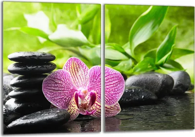 Obrázek produktu pro Sada krycích desek na sporák 2x40x52 cm Skleněný kryt varné desky, orchidejově fialová