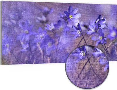 Produktbild von DEQORI Hybrid Leinwand Bild 100x50 cm 'Blaue Traumblüten' Wandbild Glas flach modern