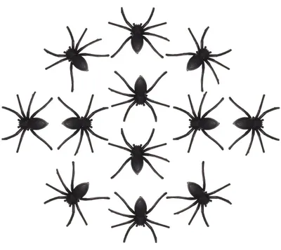 Produktbild von Halloween Spinnen als Ungeziefer Dekoration 12 St.