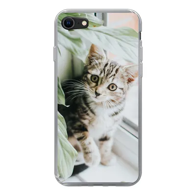 Produktbild von MuchoWow® Handyhülle Schutzhülle Hülle für iPhone SE 2020 Katze - Kätzchen - Pflanzen Silikon Softcase Handy Hülle - Kartenbesitzer