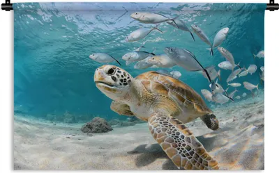 Produktbild von MuchoWow® Wandteppich Wandbehang Schildkröte - Fisch - Meer 60x40 cm Tapisserie Dekoration Wandtuch - Wanddekorationen