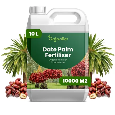 Produktbild von Dattelpalmen Flüssigdünger 10L – 2-1-8 NPK – Flüssigdünger Für Palmen – Für Blätter & Kräftiges Wachstum – Fördert Wurzeln & Vitalität – Organifer
