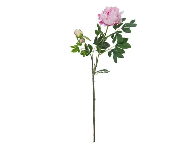 Image de EUROPALMS Branche de pivoine Premium, plante artificielle, rose, 100cm
