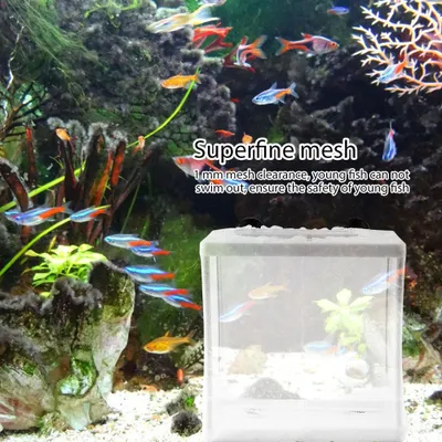 Image de Liyeehao Filet d'élevage de poissons Incubateur d'élevage de poissons Aquarium multifonctionnel Boîte d'élevage de poissons, Boîte de filet d'isolation pour poissons, f��r Aquarium