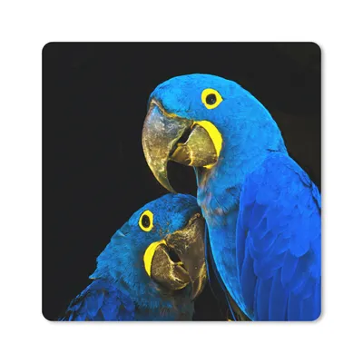 Produktbild von MuchoWow® Mauspad Mousepad Papagei - Vogel - Federn - Blau 30x30 cm - Mousepads - Maus Mat - Pad - Mausunterlage - Gaming