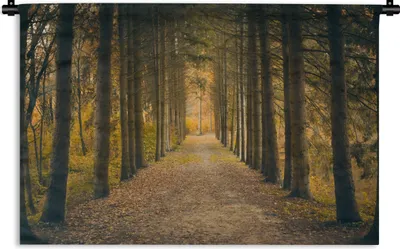 Produktbild von MuchoWow® Wandteppich Wandbehang Pfad - Bäume - Wald 60x40 cm Tapisserie Dekoration Wandtuch - Wanddekorationen