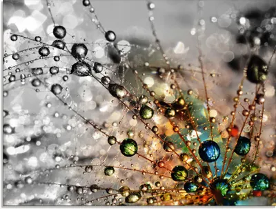 Produktbild von ARTland Glasbild Farbenfrohe Natur Größe: 60x45 cm