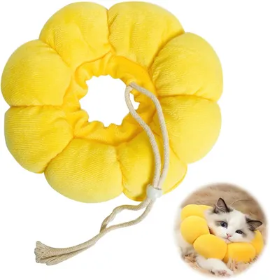 Productafbeelding van Kattenhalsband - Schattige zonnebloemvorm - Halsband voor katten - Beschermende kraag voor katten - Maat S