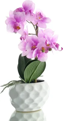 Produktbild von GASPER Orchidee Lila-Rosa im weißen Steinguttopf 33 cm - Kunstpflanzen