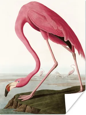 Produktbild von MuchoWow® Poster Flamingo - Vogel - Vintage - Wasser - Rosa 60x80 cm - Schlafzimmer Dekoration