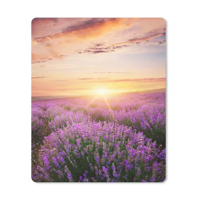 Produktbild von MuchoWow® Mauspad Mousepad Lavendel - Sonne - Blumen 30x40 cm - Mousepads - Maus Mat - Pad - Mausunterlage - Mausmatten