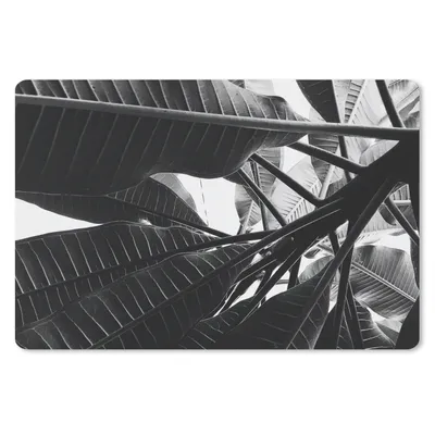 Produktbild von MuchoWow® Schreibtischunterlage Palmenblatt - Tropisch 60x40 cm - XXL Mauspad - Großes Mauspad