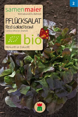 Produktbild von Pflücksalat Red salad bowl - Saatgut für zirka 150 Pflanzen