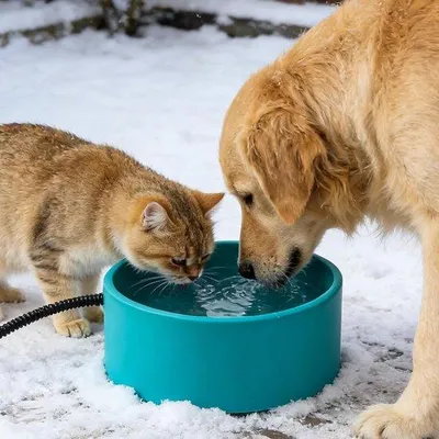 Immagine prodotto di Scaldabagno per cani e gatti, 3,2 litri, 30 W con termostato, per animali domestici, cavo da 2 metri, adatto anche per polli.