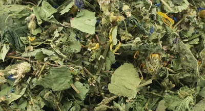 Produktbild von Getzoo Kräutergarten 600g