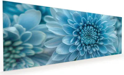 Produktbild von Küchenrückwand Spritzschutz Glas mit Motiv Blaue Blume 40 x 40 cm