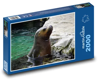 Obrázok produktu pre Puzzle 2000 Uškaň morský vykúkajúci z vody - martinpuzzle