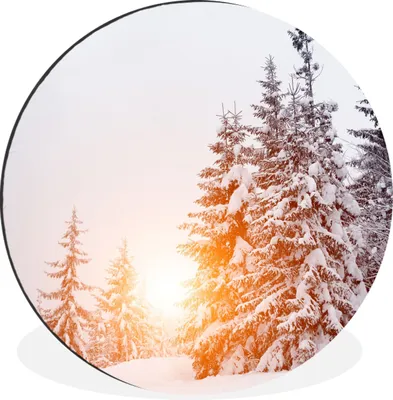 Produktbild von MuchoWow® Aluminium Wandkreis Sonne - Bäume - Schnee Ø 60 cm Wanddeko Modern Wohnzimmer - Wand Kreis - Wandbild - Schlafzimmer - Aluminium Bild - Kinderzimmer - Wohnzimmer Dekoration - Wandschmuck