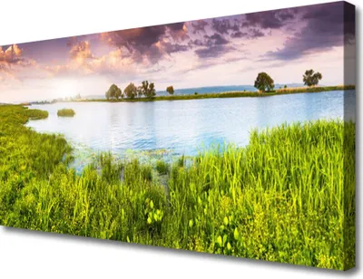 Produktbild von Tulup Leinwand-Bilder 100x50 Wandbild Canvas Kunstdruck Gras See Natur