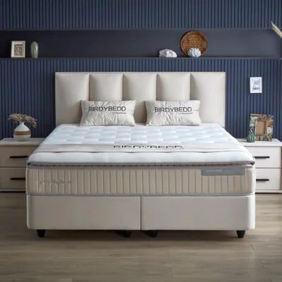Produktbild von BIRDY Bett Beige Boxspringbett mit Matratze 160x200