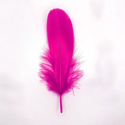 Immagine prodotto di Piume d'oca, circa 15-20 cm, 10 pezzi, fucsia