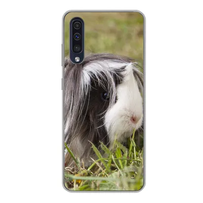 Produktbild von MuchoWow® Handyhülle Schutzhülle Hülle für Samsung Galaxy A50 Langhaar-Meerschweinchen Silikon Softcase Handy Hülle - Mobiltelefonhülle